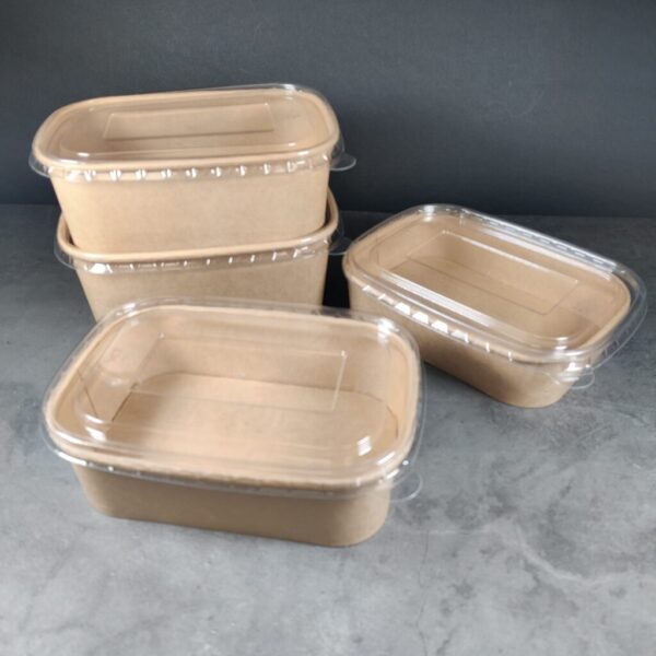 Kraft Paper Food Rectangular Box (500cc) with lids (300 sets) - Image 3