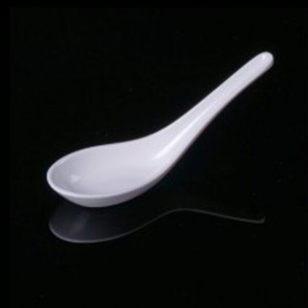 Plain White Plastic Spoon (10pcs)