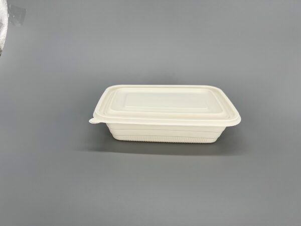 800cc Biodegradable Food Container (175 sets)