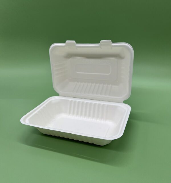 Bagasse Hinged Food Container 1000ml - Image 4