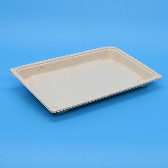 Sushi Tray with Clear Lid (No.11), (200sets) - Image 3
