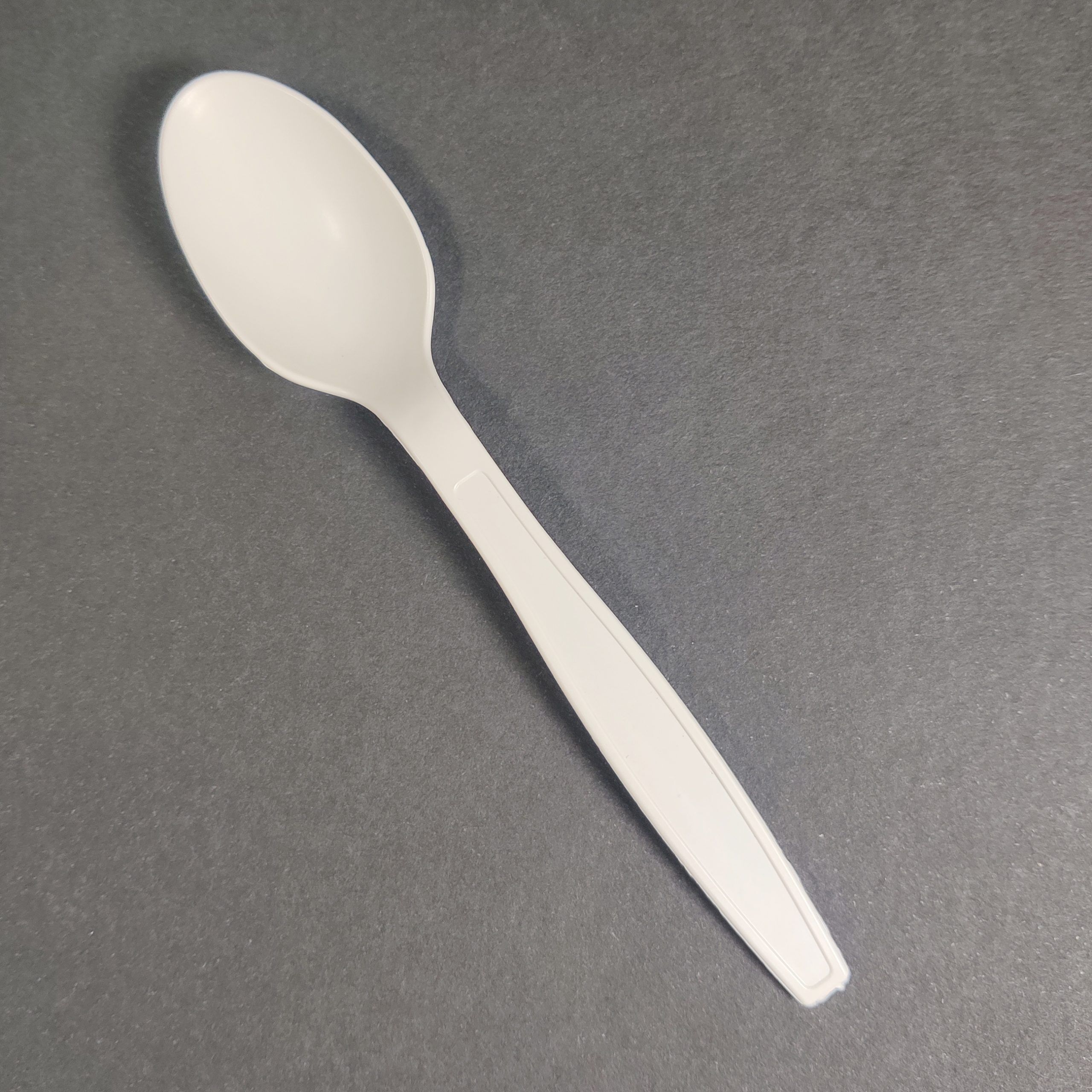 Bio-degradable Spoon (2000pcs)