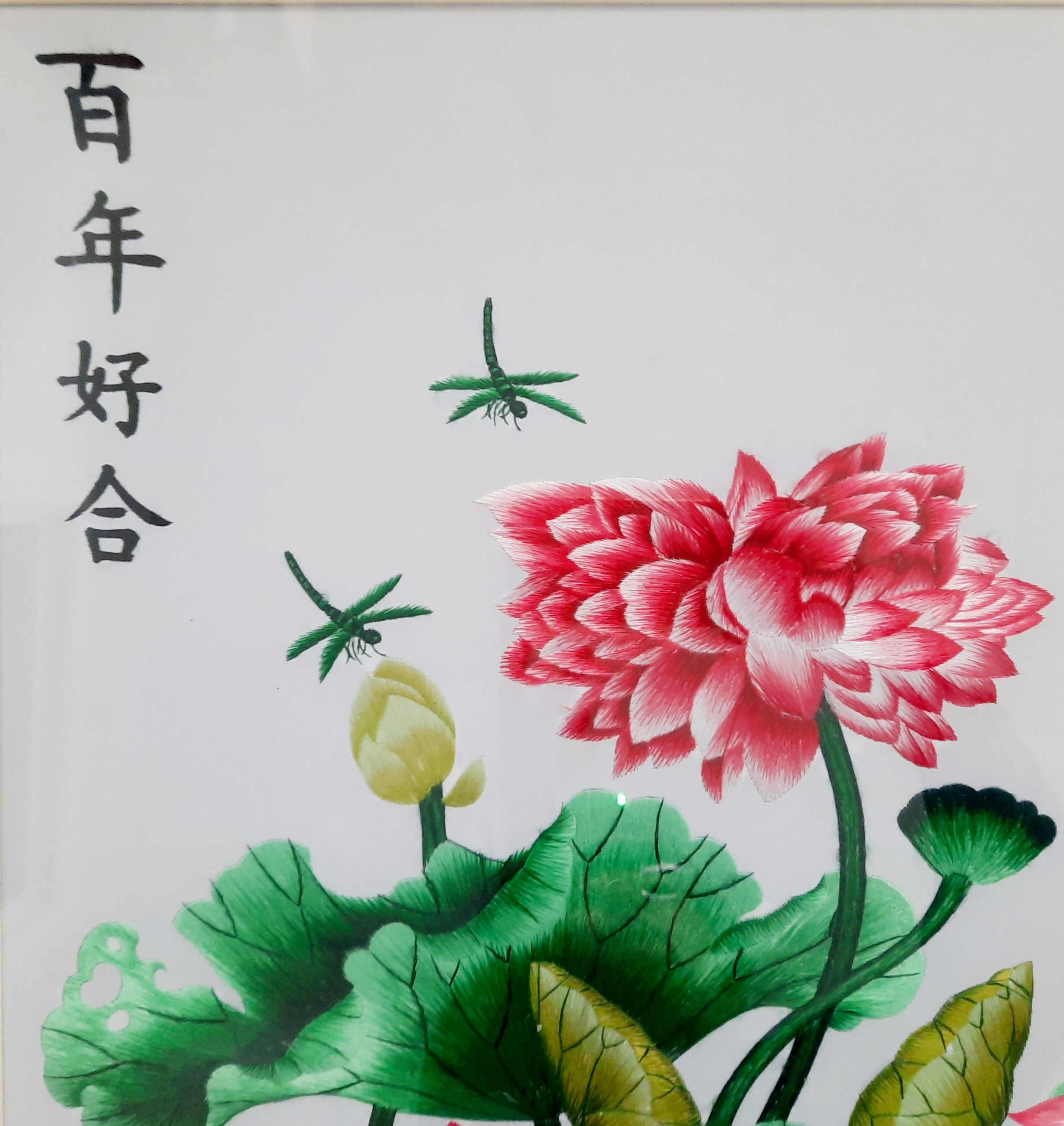 Lotus and Dragonflies - Image 2