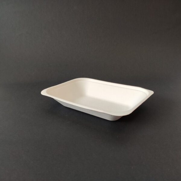 Bagasse Food Tray (Small) - (500pcs)
