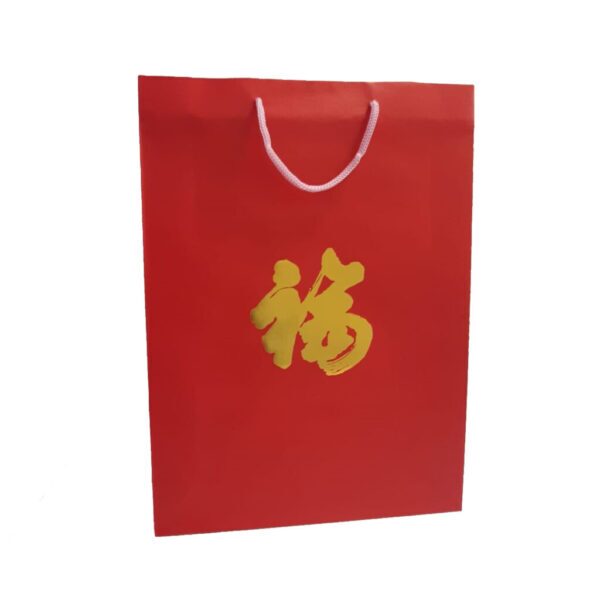 Paper Gift Bag - Large