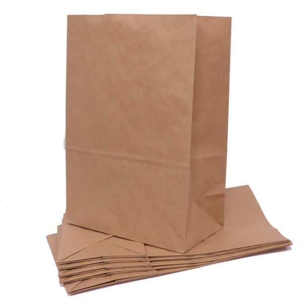 Premium Large Paper Carrier Bag - No Handle (250 sets) @ 9.2p + vat each