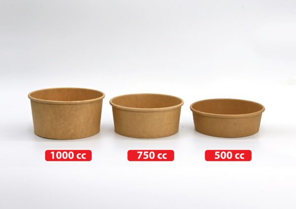 Paper Food bowls - Image 6