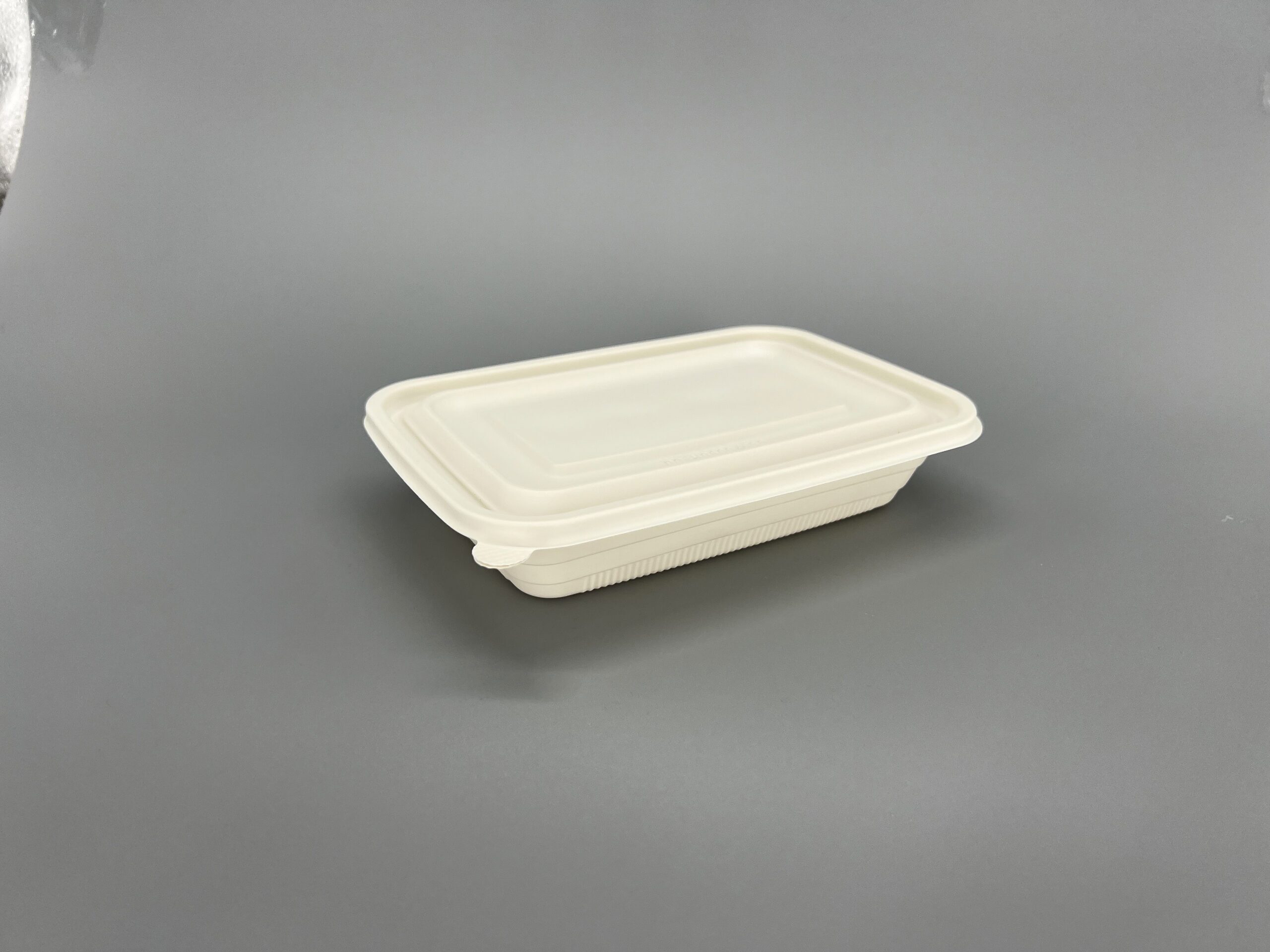 500cc Biodegradable Food Container (300 sets)