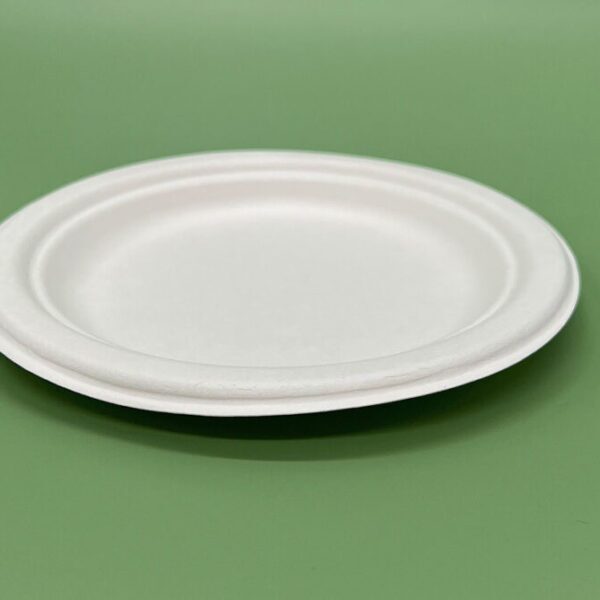 Bagasse 7"/18 cm Round Plate - 500 pcs/ctn